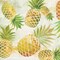 Pineapple Dance I Poster Print by Carol Robinson - Item # VARPDX19062